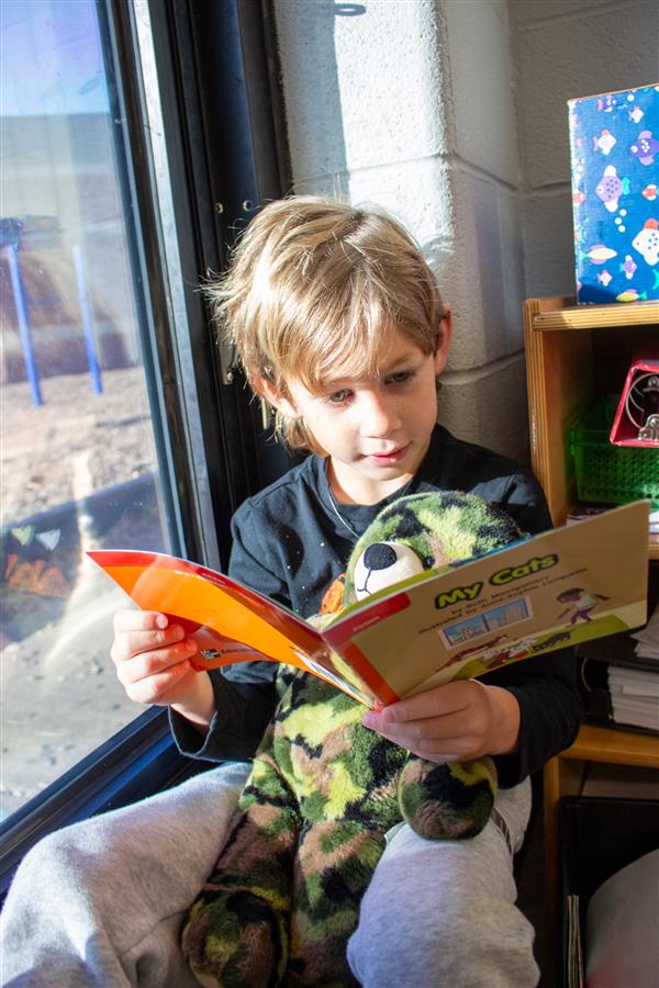 boy reading near window